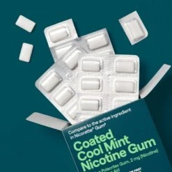 Up & Up Coated Nicotine 2mg Gum Stop Smoking Aid - Mint - 100ct - Up&up™